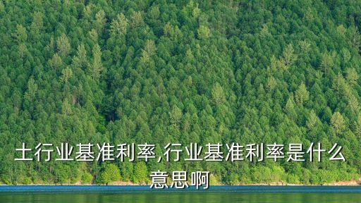 土行业基准利率,行业基准利率是什么意思啊