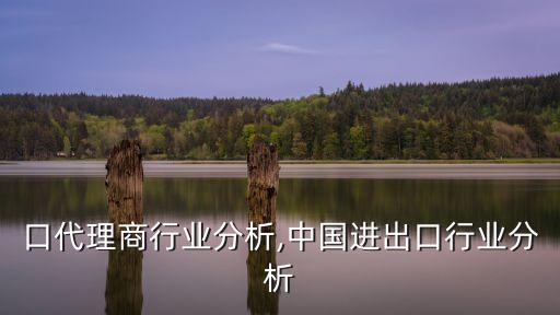 口代理商行业分析,中国进出口行业分析