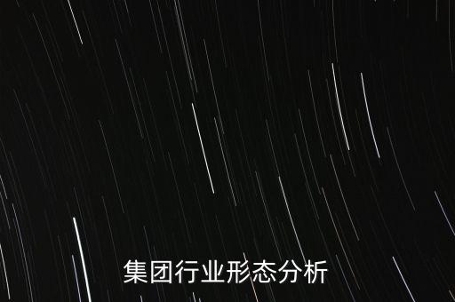 西山集团行业形态分析