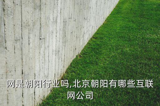 网是朝阳行业吗,北京朝阳有哪些互联网公司