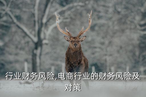 行业财务风险,电商行业的财务风险及对策