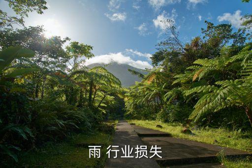 强降雨 行业损失