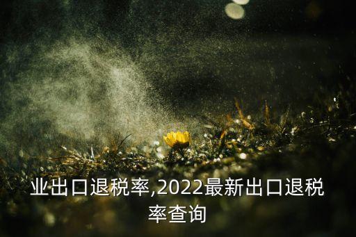 各行业出口退税率,2022最新出口退税率查询