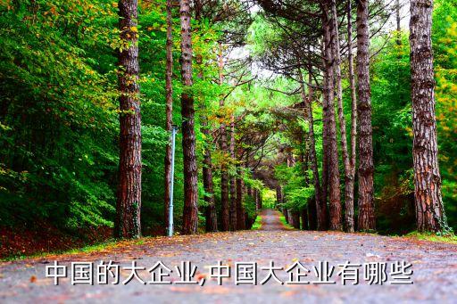 中国的大企业,中国大企业有哪些