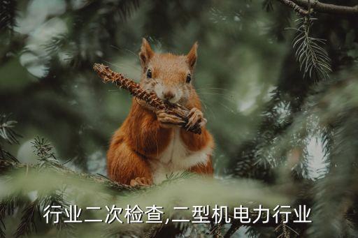 行业二次检查,二型机电力行业
