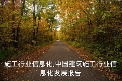 建筑施工行业信息化,中国建筑施工行业信息化发展报告
