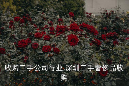 收购二手公司行业,深圳二手奢侈品收购
