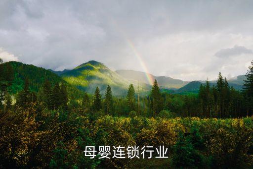 母婴连锁行业