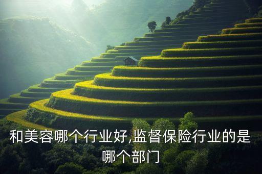 保险和美容哪个行业好,监督保险行业的是哪个部门