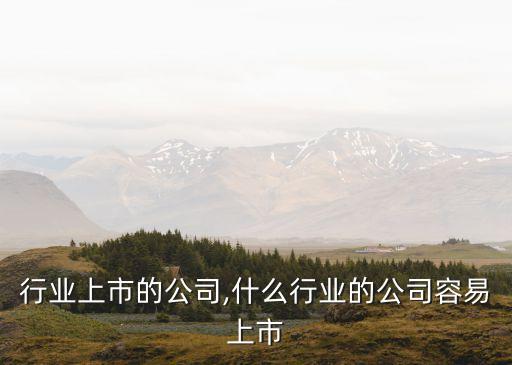 行业上市的公司,什么行业的公司容易上市