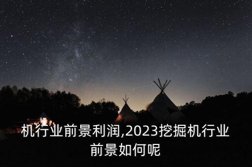 挖掘机行业前景利润,2023挖掘机行业前景如何呢