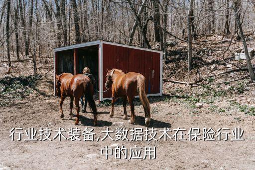 保险行业技术装备,大数据技术在保险行业中的应用