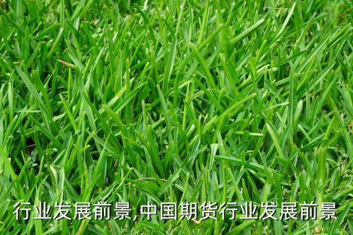 期货行业发展前景,中国期货行业发展前景