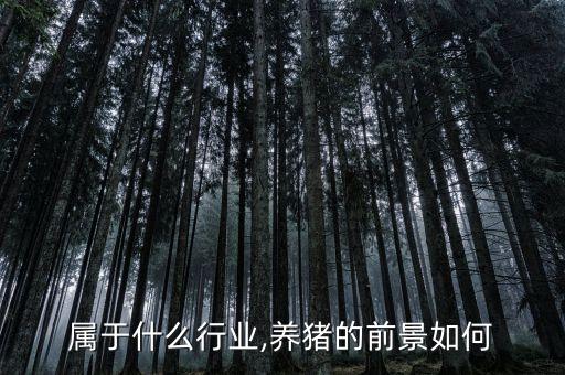 养猪属于什么行业,养猪的前景如何