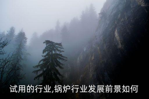 试用的行业,锅炉行业发展前景如何