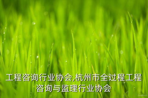 工程咨询行业协会,杭州市全过程工程咨询与监理行业协会