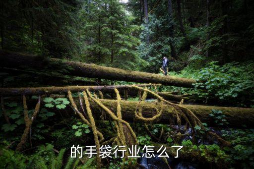 现在的手袋行业怎么了