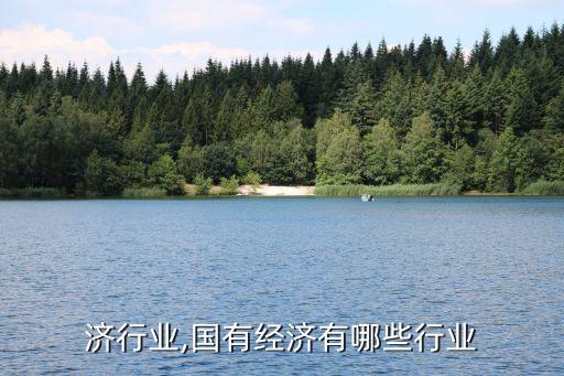 济行业,国有经济有哪些行业