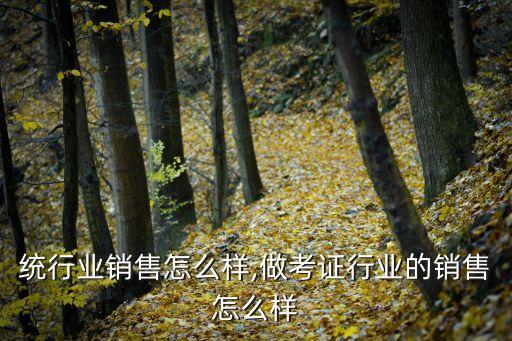 做传统行业销售怎么样,做考证行业的销售怎么样