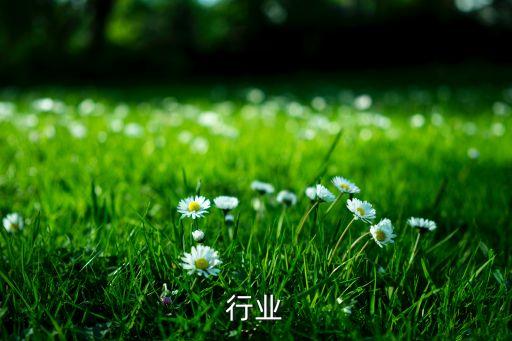 行业
