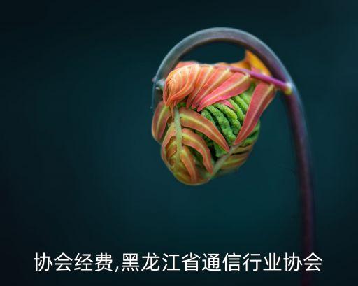 协会经费,黑龙江省通信行业协会
