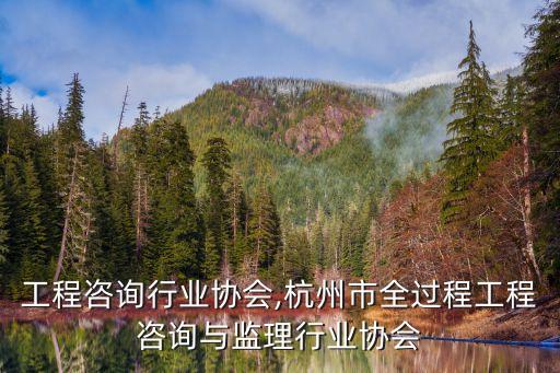 工程咨询行业协会,杭州市全过程工程咨询与监理行业协会