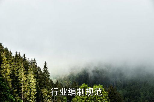 行业编制规范