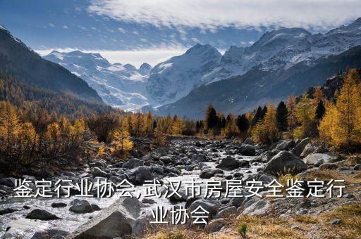 鉴定行业协会,武汉市房屋安全鉴定行业协会