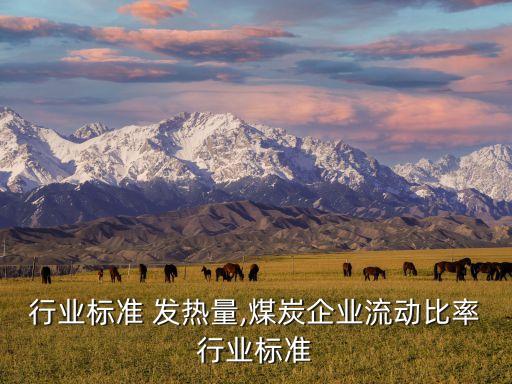 煤炭行业标准 发热量,煤炭企业流动比率行业标准