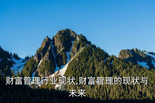 财富管理行业现状,财富管理的现状与未来