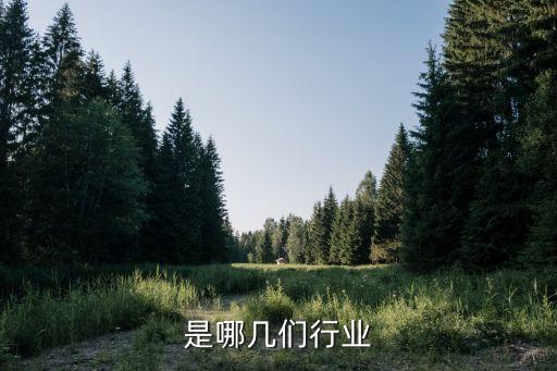是哪几们行业