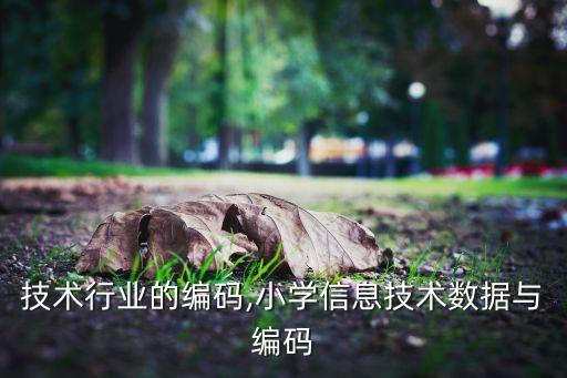 信息技术行业的编码,小学信息技术数据与编码