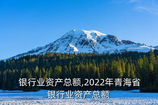  银行业资产总额,2022年青海省银行业资产总额
