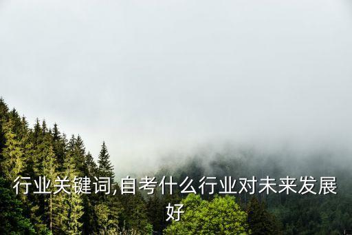 自考行业关键词,自考什么行业对未来发展好