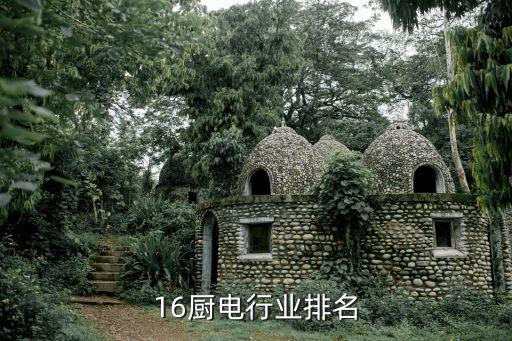 16厨电行业排名