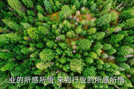 对行业的所感所悟,来到行业的所感所悟