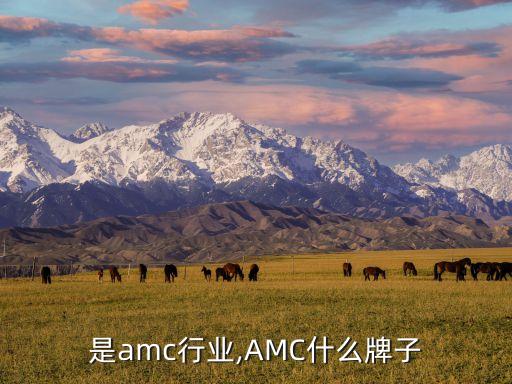 是amc行业,AMC什么牌子