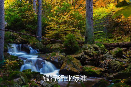 银行行业标准