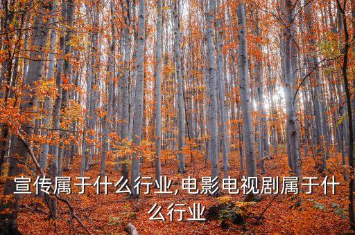 宣传属于什么行业,电影电视剧属于什么行业