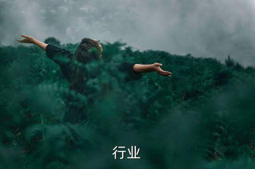 行业