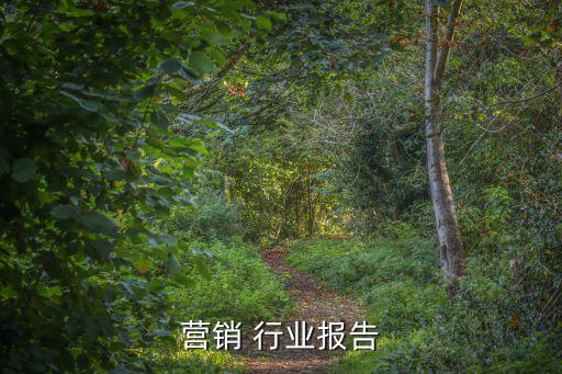 网络营销 行业报告