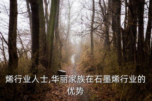 石墨烯行业人士,华丽家族在石墨烯行业的优势