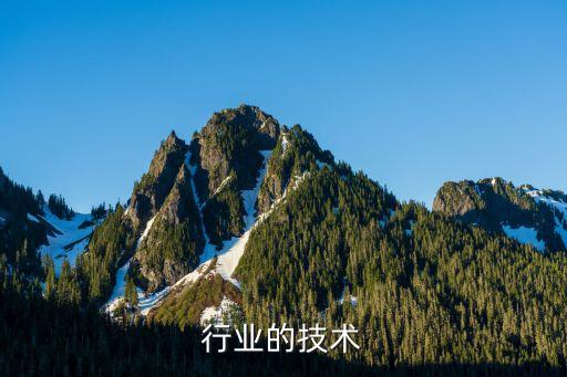 行业的技术