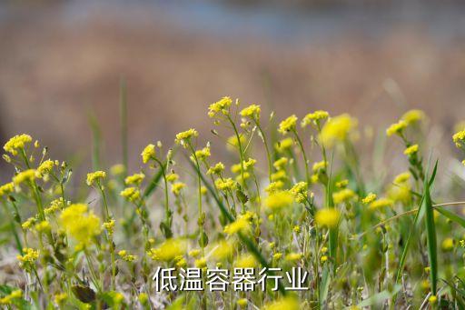 空分低温容器行业