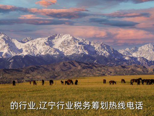的行业,辽宁行业税务筹划热线电话