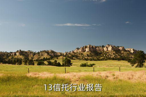 13信托行业报告
