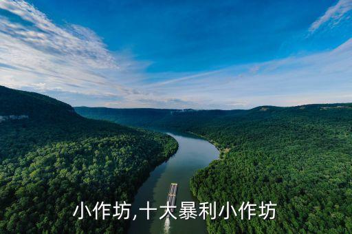 行业小作坊,十大暴利小作坊