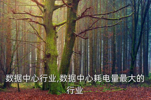 上海数据中心行业,数据中心耗电量最大的行业