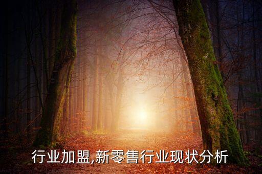 零售行业加盟,新零售行业现状分析