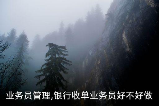 业务员管理,银行收单业务员好不好做